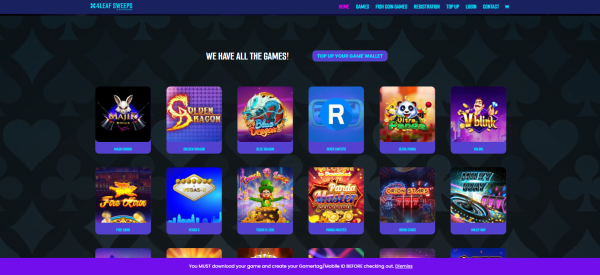 Sweepstakes Gaming Website - Image 4